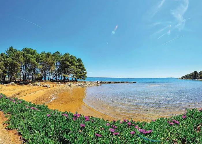 Cozy In With Kitchen * فير