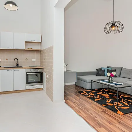 Cozy In With Kitchen Apartment